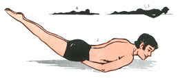 Salabhasana(Locust Posture)